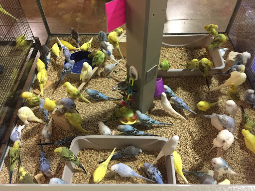 Pet Store «Incredible Pets Inc», reviews and photos, 2255 N Wickham Rd # 102, Melbourne, FL 32935, USA