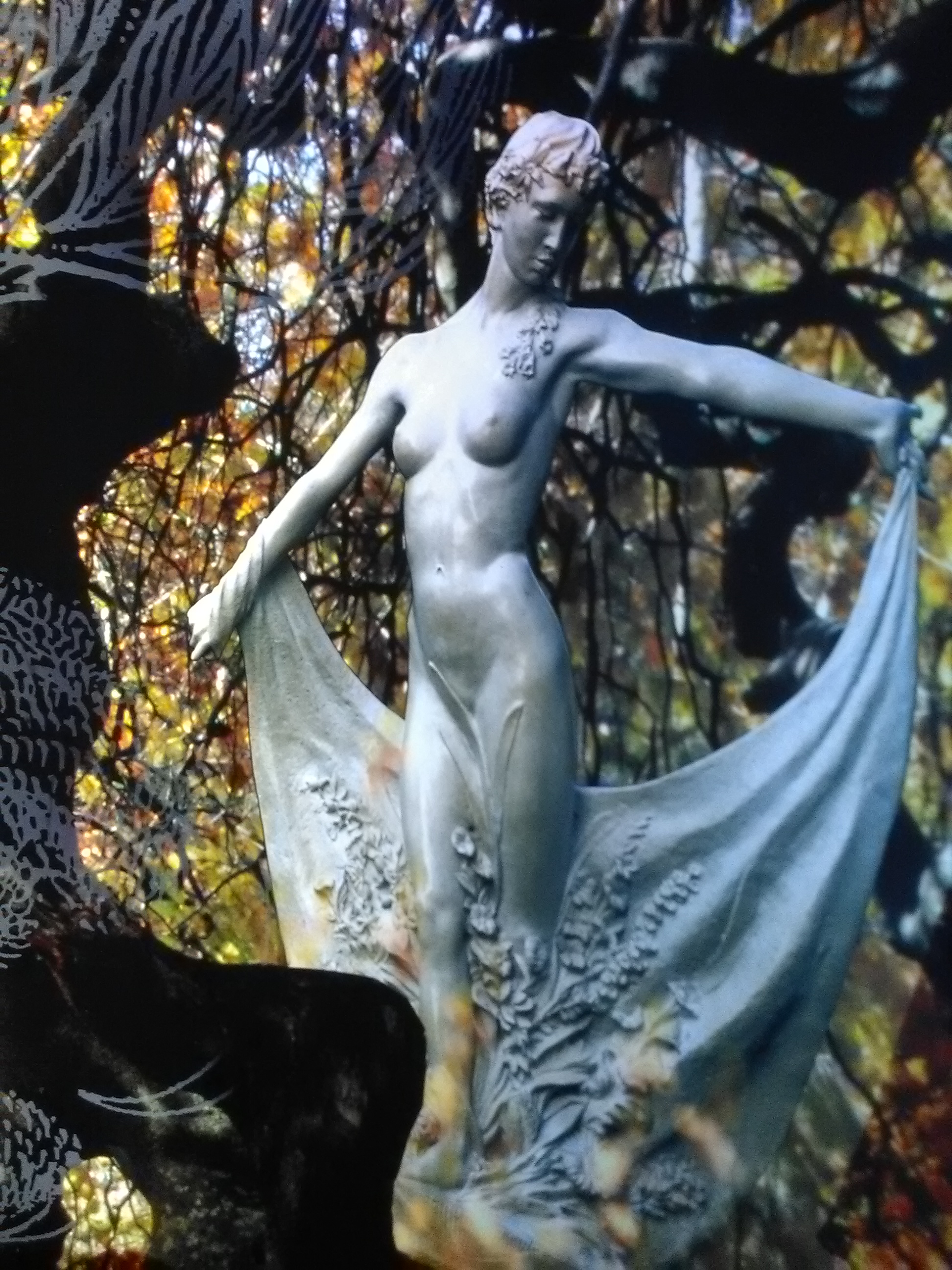 Photo n° 13 de l'avis de Athéna.e fait le 15/08/2017 à 06:29