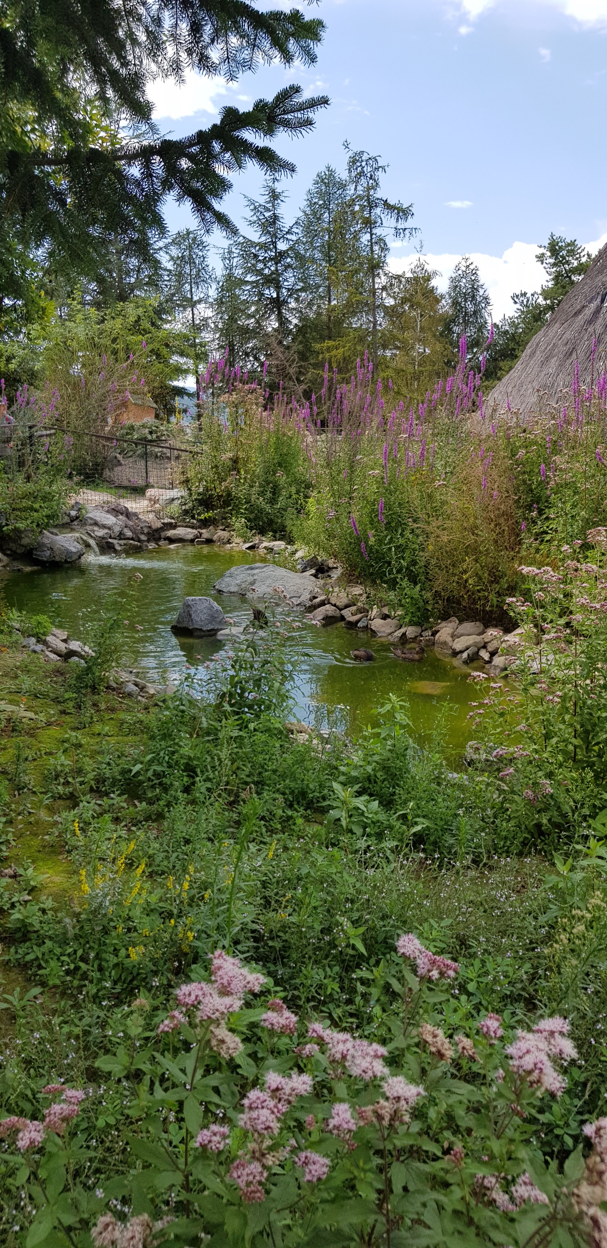 Photo n° 4 de l'avis de dams1710. fait le 20/08/2018 à 18:02