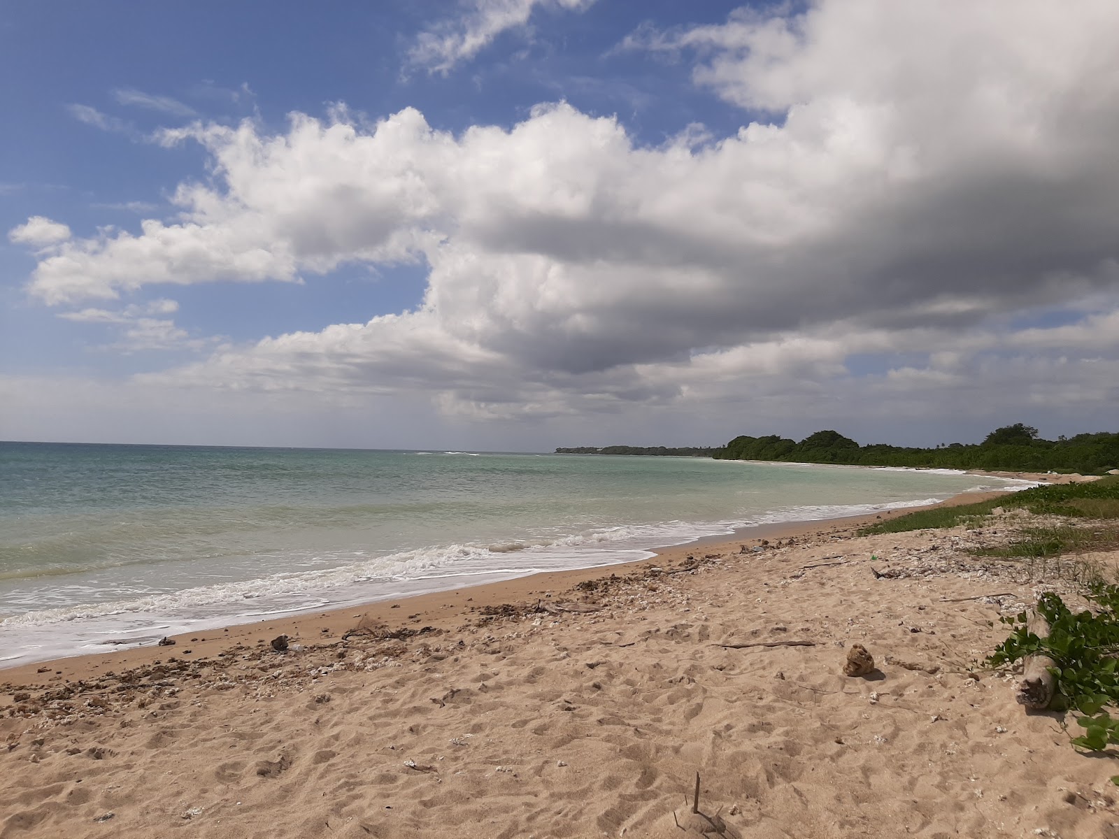 Fotografija Lighthouse beach z svetel fin pesek površino