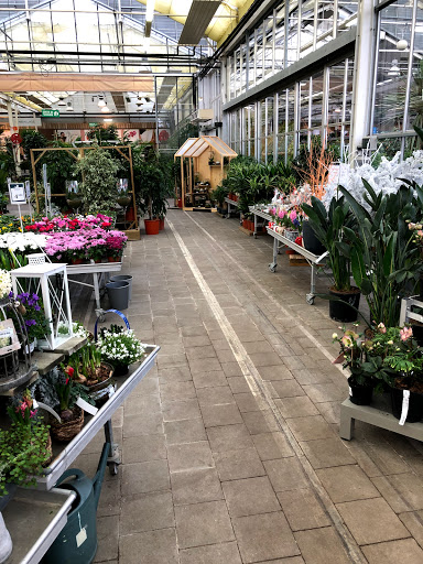 Plant stores Toulouse