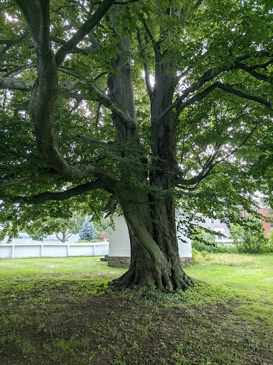 Historical Place Museum «Historic New England Governor John Langdon House», reviews and photos, 143 Pleasant St, Portsmouth, NH 03801, USA