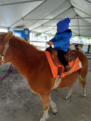 Produce Market «Didier Farms», reviews and photos, 16678 Aptakisic Rd, Lincolnshire, IL 60069, USA