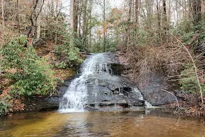 Wildcat Branch Falls image