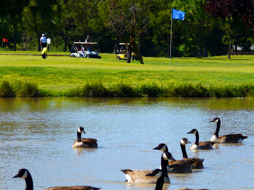 Golf Course «Cordova Golf Course», reviews and photos, 9425 Jackson Rd, Sacramento, CA 95826, USA