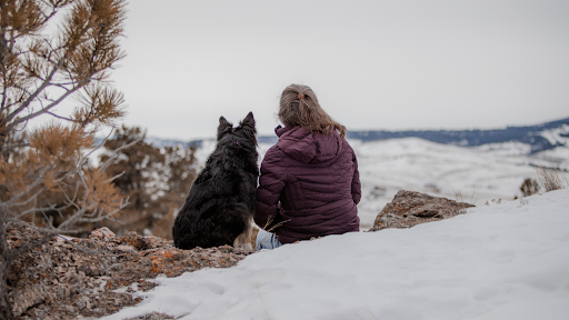 Lighthouse Veterinary Services, PLLC image