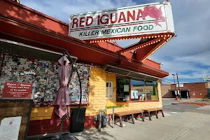 Red Iguana image