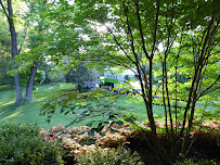 SavATree - Tree Service & Lawn Care - Photo 7 - Car repair in Rockville, MD, Washington