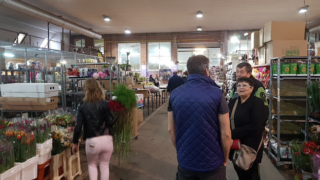 Értékelések erről a helyről: Flower Market, Szeged - Bevásárlóközpont