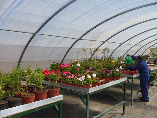 Seila S.L Jardinería, Lavandería y Limpieza en Calzada de Valdunciel, Salamanca