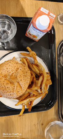 Frite du Restaurant de hamburgers Big Fernand à Clermont-Ferrand - n°17