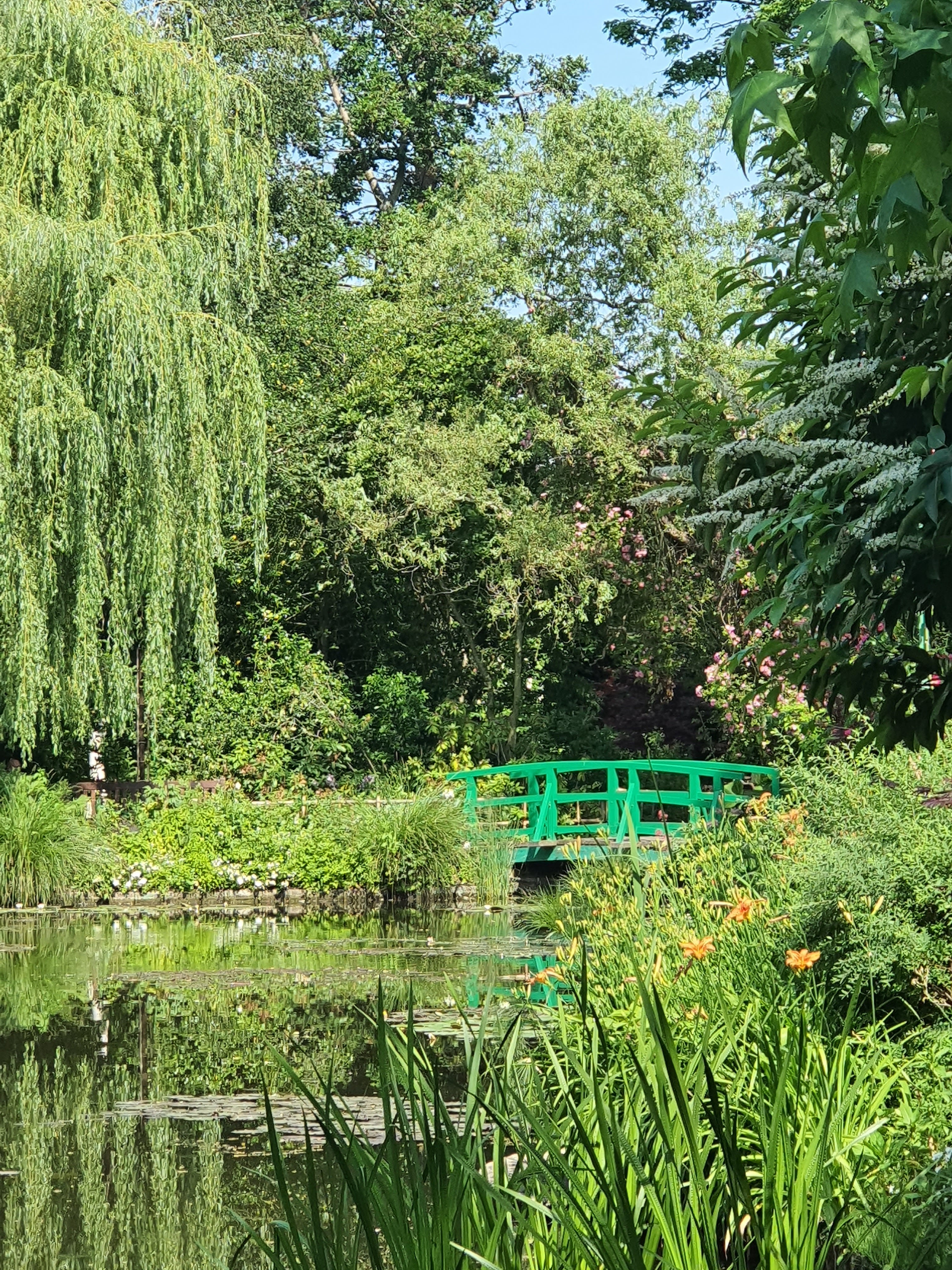 Photo n° 4 de l'avis de Chimene.a fait le 18/06/2021 à 22:36