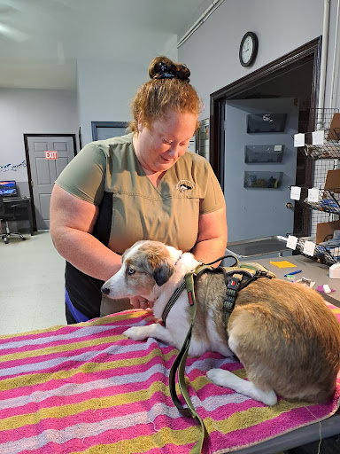 Mayfield Veterinary Clinic image