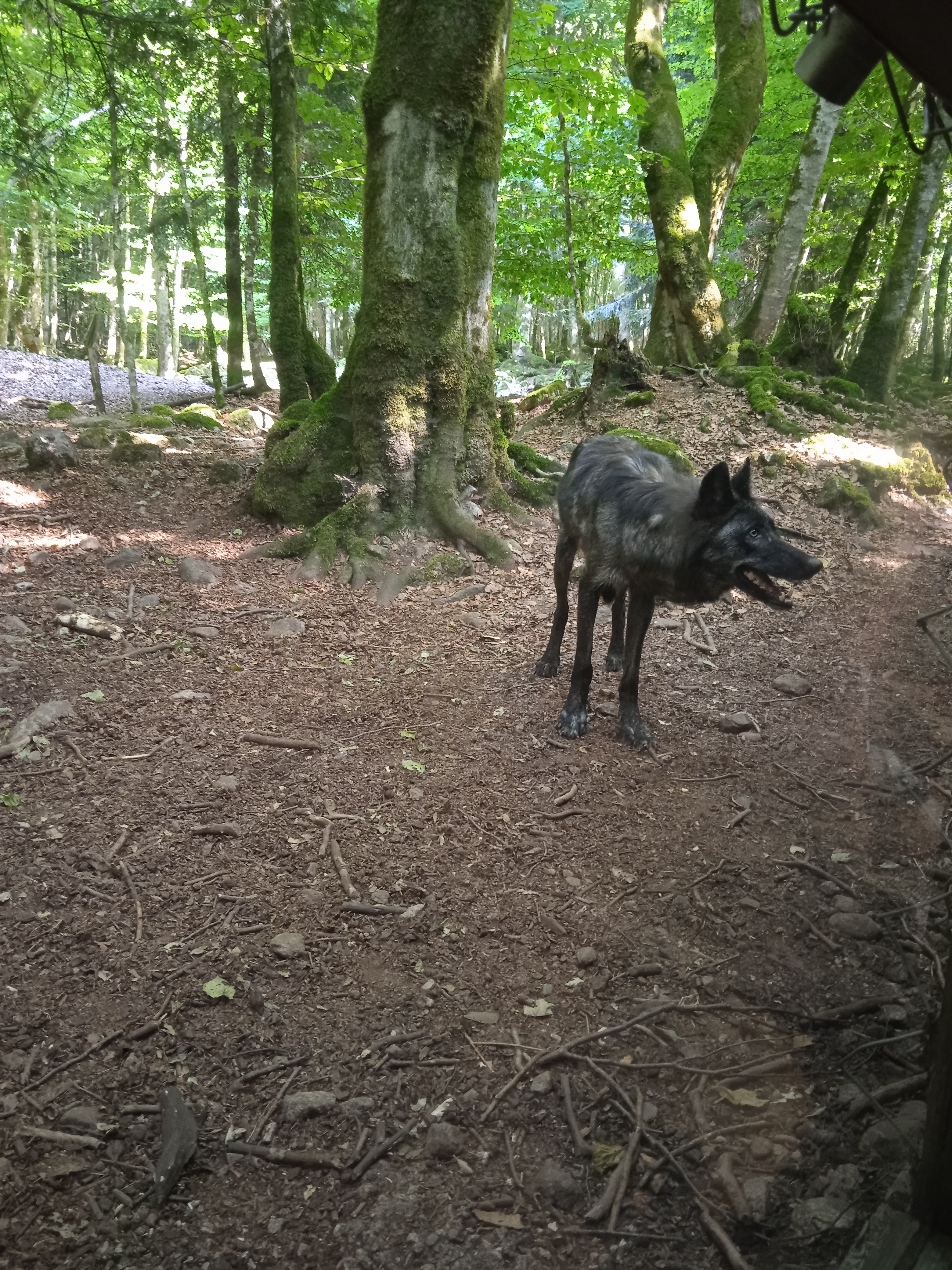 Photo n° 5 de l'avis de Nenette.K fait le 24/07/2022 à 18:58