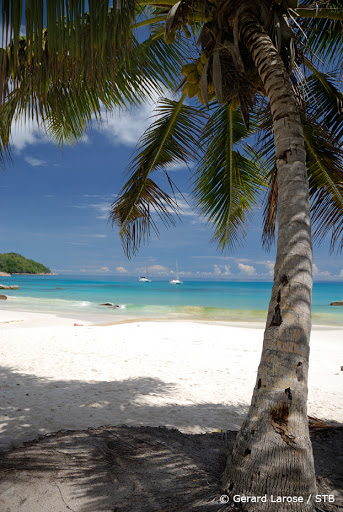 Honorary Consulate of Seychelles to California Embassy of Seychelles in Fairfax