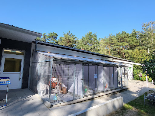 Tierheim Märkisch Buchholz unter Halbe, Brandenburg