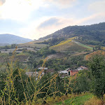 Photo n°13 de l'avis de Daniele.a fait le 10/10/2020 à 13:36 sur le  Trattoria Quaglini à Borgo Priolo