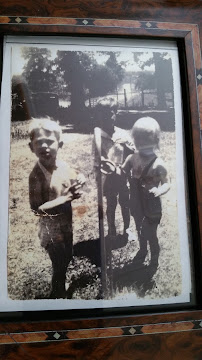 Fusion Pest Control Service