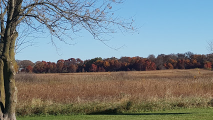 Pingree Grove Forest Preserve