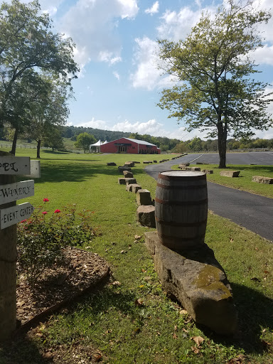 Winery «Sassafras Springs Vineyard and Winery», reviews and photos, 6461 E Guy Terry Rd, Springdale, AR 72764, USA