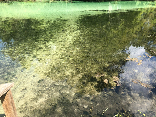 Personal Injury Attorney «Whittel & Melton, LLC», reviews and photos