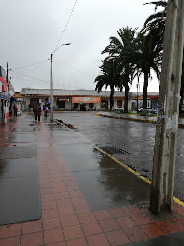 Av. Jose Tomás Urmeneta, Limache, Valparaíso, Chile