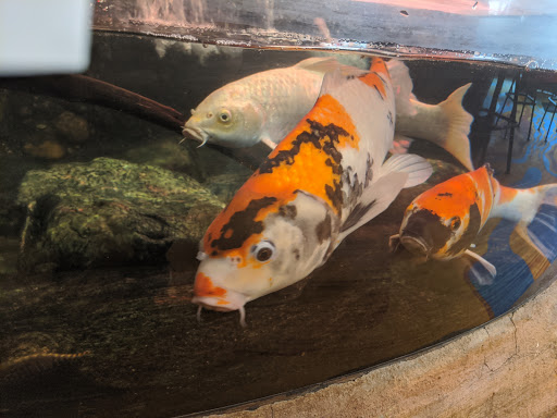 Hotel «The Lodge Casino», reviews and photos, 240 Main St, Black Hawk, CO 80422, USA