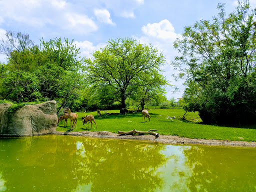 Zoo «Indianapolis Zoo», reviews and photos, 1200 W Washington St, Indianapolis, IN 46222, USA