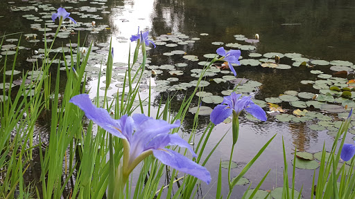 Art Museum «Norton Simon Museum», reviews and photos, 411 W Colorado Blvd, Pasadena, CA 91105, USA