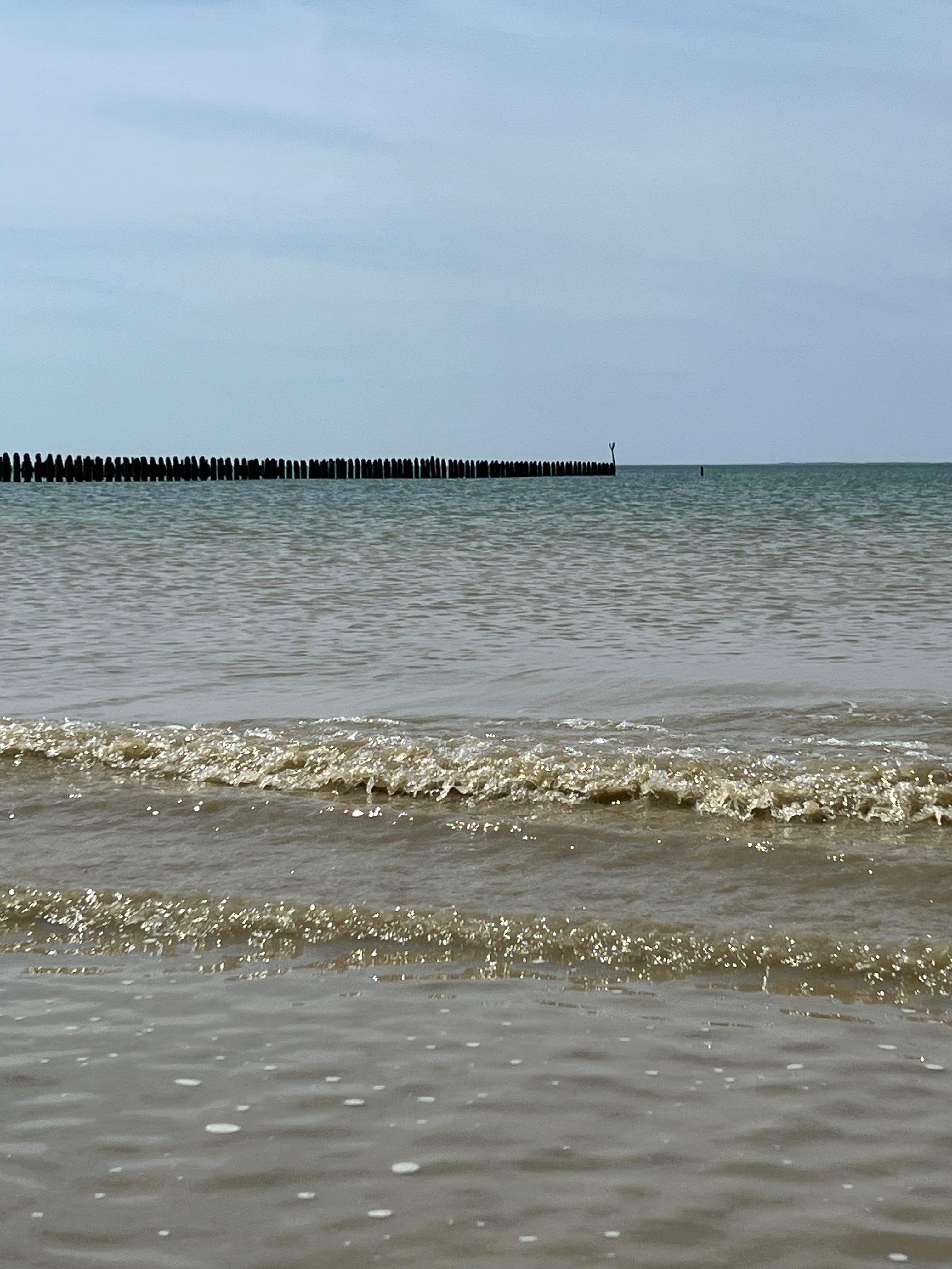 Photo n° 1 de l'avis de arno. fait le 10/05/2024 à 16:10