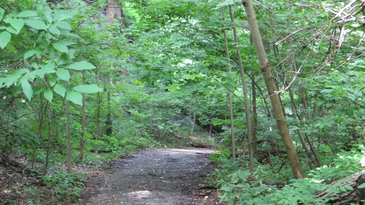 Movie Theater «AMC Loews Lincoln Square 13», reviews and photos, 1998 Broadway, New York, NY 10023, USA