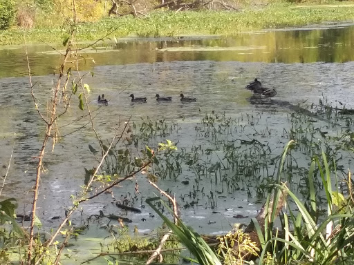 Liquor Store «Liquor Barn», reviews and photos, 1007 Old York Rd, Raritan, NJ 08869, USA