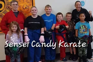 Sensei Candy Karate image
