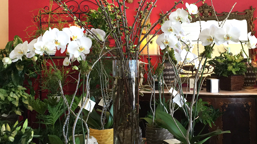 Florist «A Floral Experience», reviews and photos, 5457 N MacArthur Blvd, Irving, TX 75038, USA