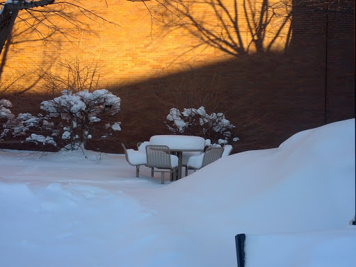 University «Rochester Institute of Technology», reviews and photos