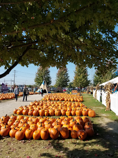 Produce Market «Didier Farms», reviews and photos, 16678 Aptakisic Rd, Lincolnshire, IL 60069, USA