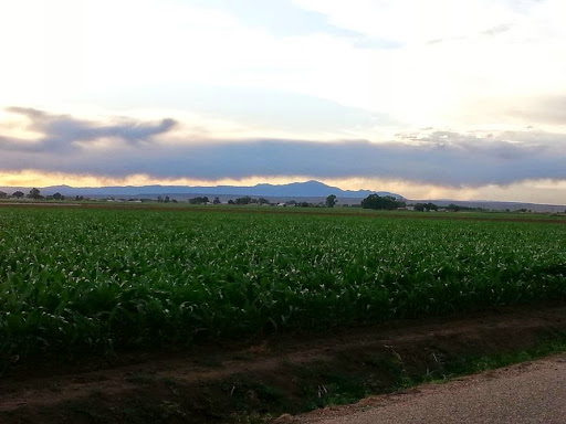 1300 N Elizabeth St, Pueblo, CO 81003, USA