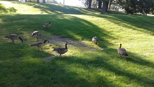 Park «McCullough Park», reviews and photos, W Illinois Ave, Aurora, IL 60506, USA