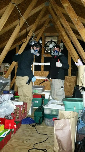 Animal Control Service «Xceptional Wildlife Removal», reviews and photos