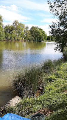 Asete à Rouffiac-Tolosan