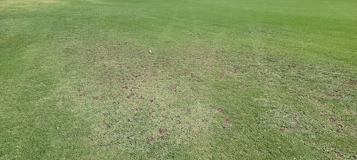 Golf Course «Grand Canyon University Golf Course», reviews and photos, 5902 W Indian School Rd, Phoenix, AZ 85033, USA