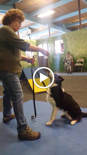 Pet Supply Store «Naturally 4 Paws», reviews and photos, 9337 Silverdale Way NW, Silverdale, WA 98383, USA