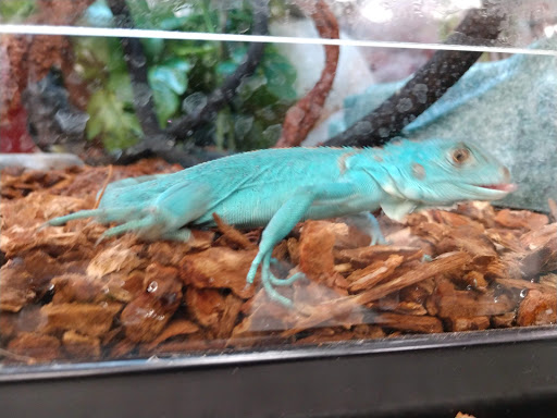 Pet Supply Store «Petco Animal Supplies», reviews and photos, 1425 N Montebello Blvd, Montebello, CA 90640, USA