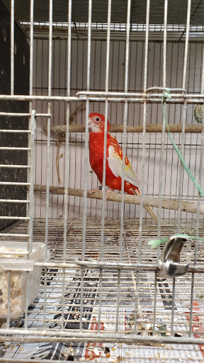 Pet Store «El Granero Pet Shop», reviews and photos, 15700 Atlantic Ave, Compton, CA 90221, USA