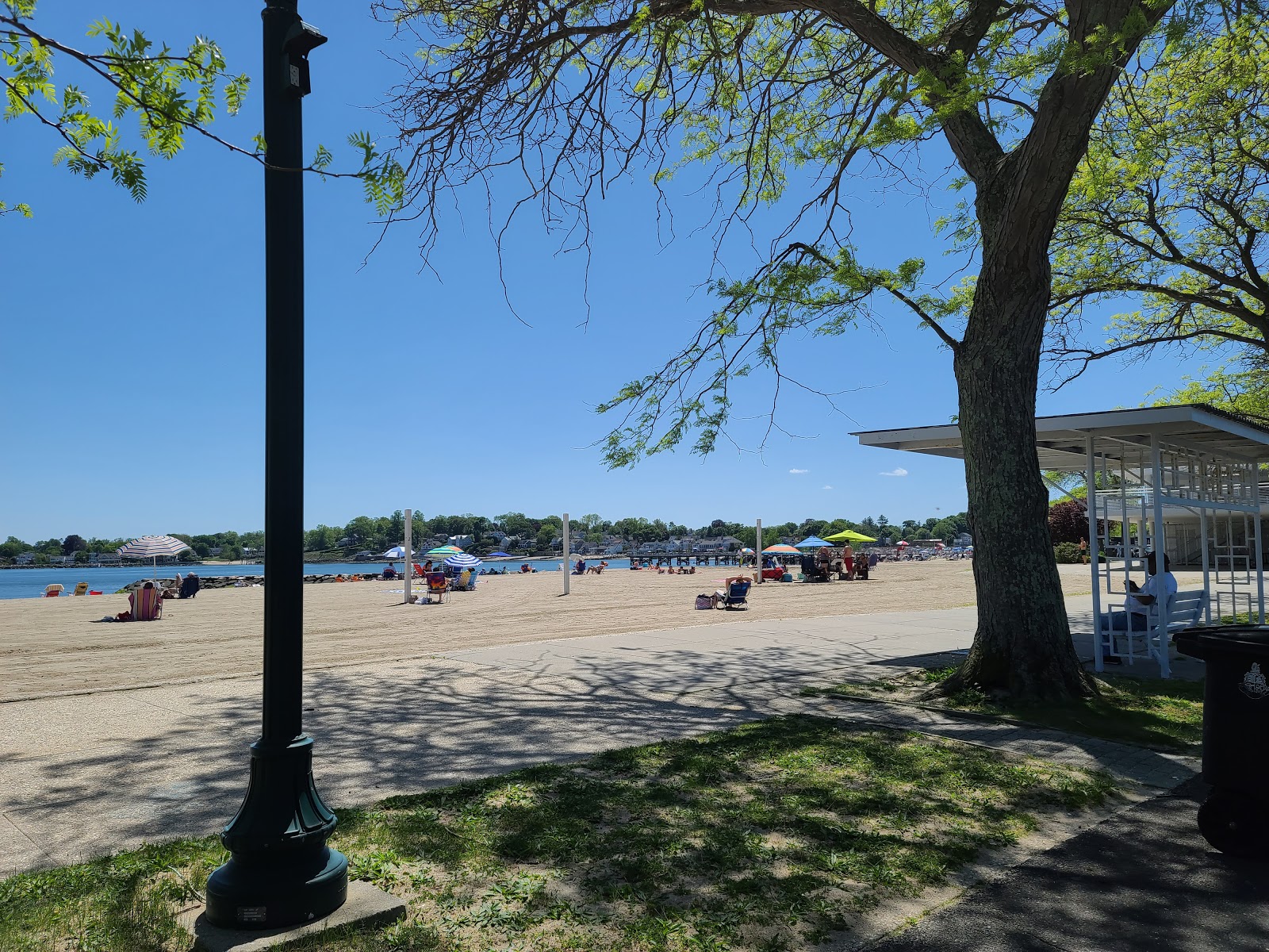 Foto di Cove Beach North con una superficie del sabbia luminosa