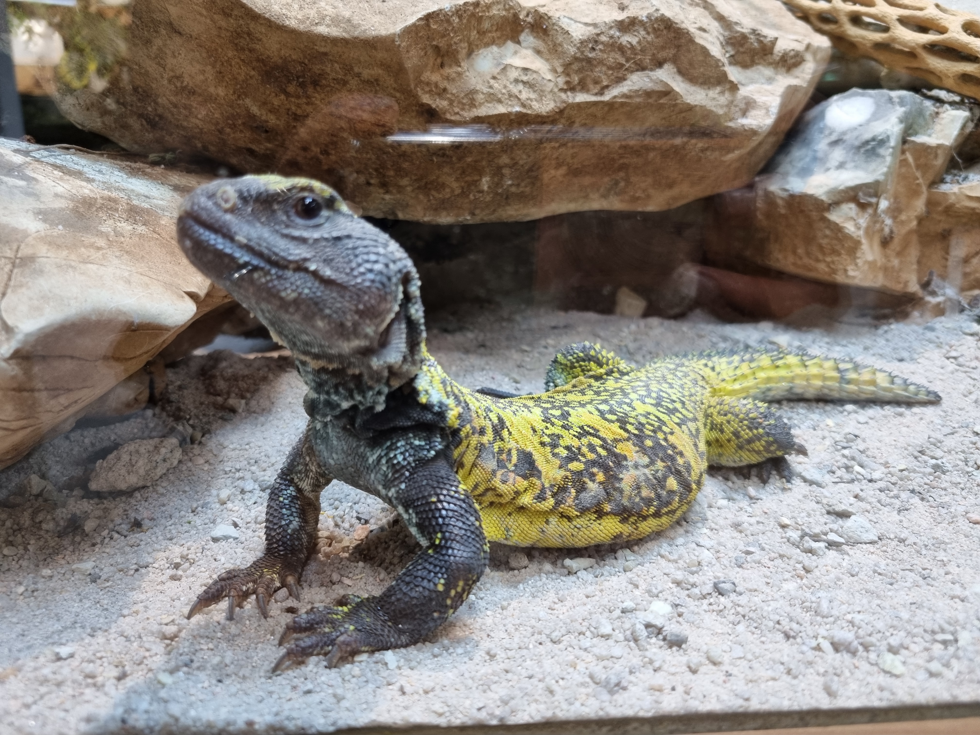 Photo n° 1 de l'avis de Zoé.o fait le 25/08/2023 à 10:24