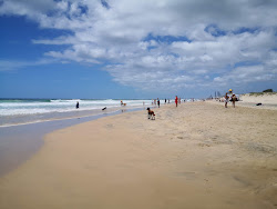 Foto af The Spit Dog Beach med lang lige kyst