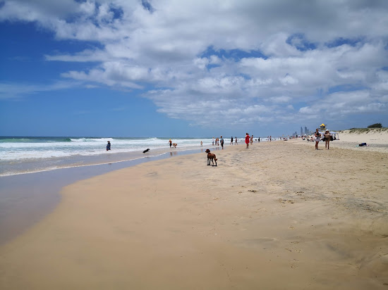 The Spit Dog Beach