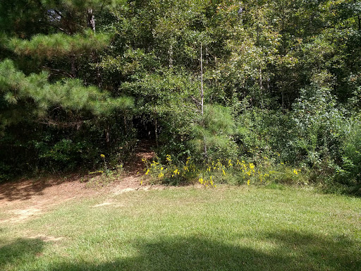 Park «Heritage Park», reviews and photos, 99 Lake Dow Rd, McDonough, GA 30252, USA