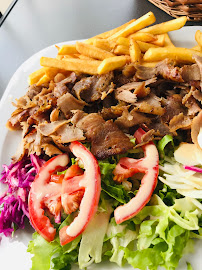 Plats et boissons du Restaurant Olympia Kebab à Auxerre - n°1